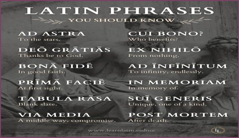 A Profile Of A Latin Beauty