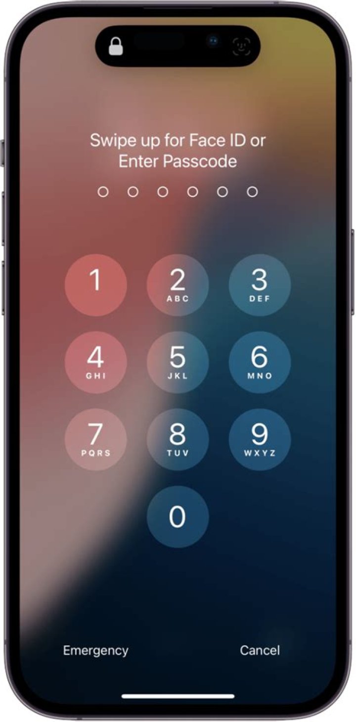 Can someone unlock my iPhone passcode?