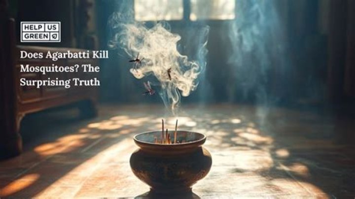 Does Sambrani kill mosquitoes?