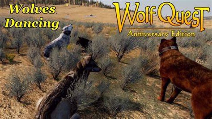 Does Wolf Quest 3 have multiplayer?