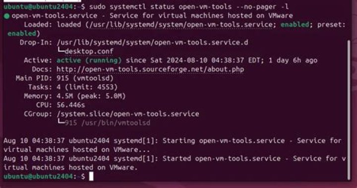 How do I check open VM tools in Linux?