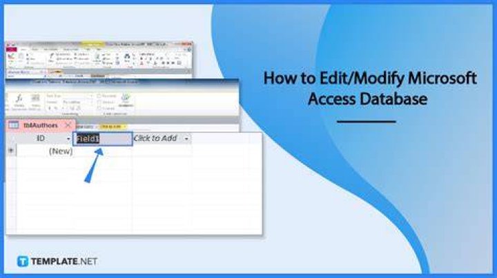 How do I open an Access database in edit mode?