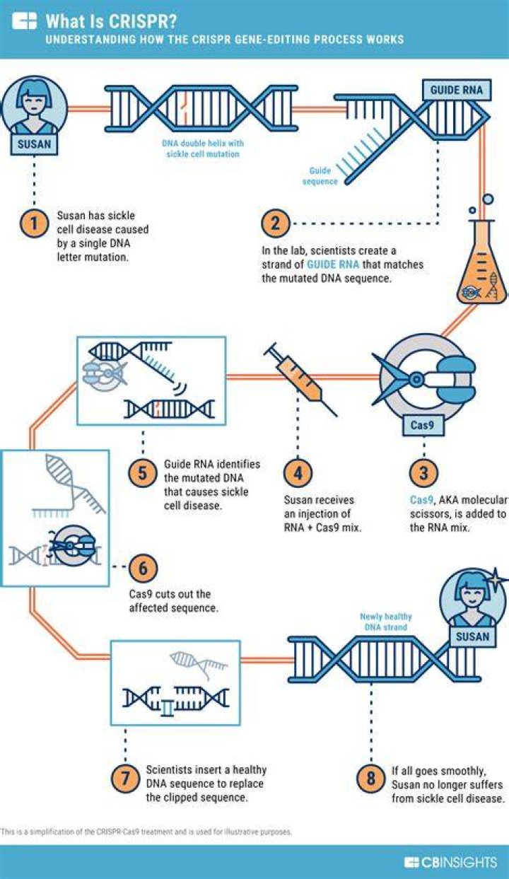What bacteria does Crispr come from?