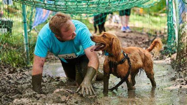 What do you do with a muddy dog?