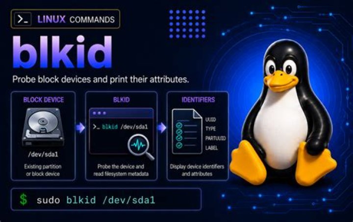 What does Blkid do in Linux?