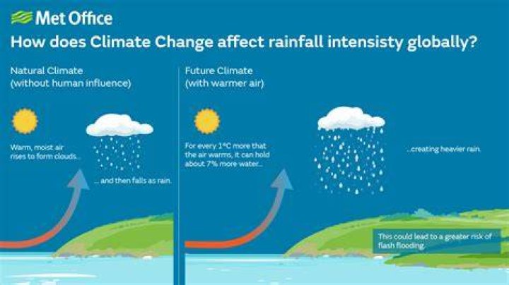 Why is rainfall decreasing?